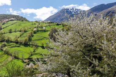 Leitariegos Vadisi, Asturias, İspanya, bahar başında