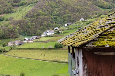 Leitariegos Vadisi, Asturias, İspanya, bahar başında