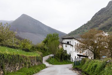 Leitariegos Vadisi, Asturias, İspanya, bahar başında