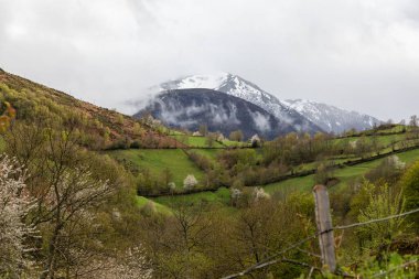 Leitariegos Vadisi, Asturias, İspanya, bahar başında