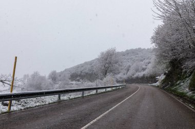 Leitariegos Vadisi, Asturias, İspanya, bahar başında