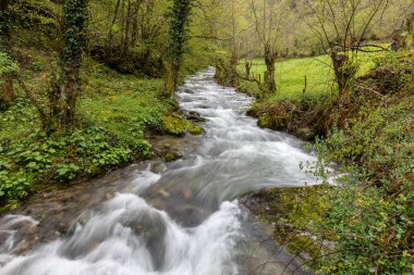 Leitariegos Vadisi, Asturias, İspanya, bahar başında