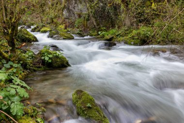Leitariegos Vadisi, Asturias, İspanya, bahar başında