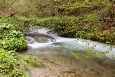 Leitariegos Vadisi, Asturias, İspanya, bahar başında