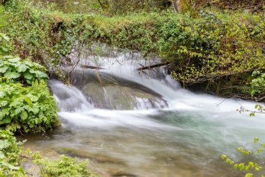 Leitariegos Vadisi, Asturias, İspanya, bahar başında