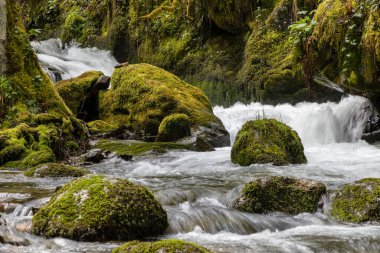 Leitariegos Vadisi, Asturias, İspanya, bahar başında