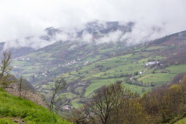 Leitariegos Vadisi, Asturias, İspanya, bahar başında
