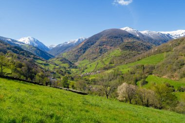Leitariegos Vadisi, Asturias, İspanya, bahar başında