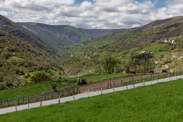 Valle Leitariegos Nelle Asturie Spagna All Inizio Della Primavera — Foto Stock