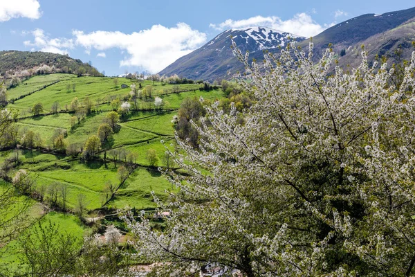 Leitariegos Völgye Asturias Spanyolország Tavasz Elején — Stock Fotó