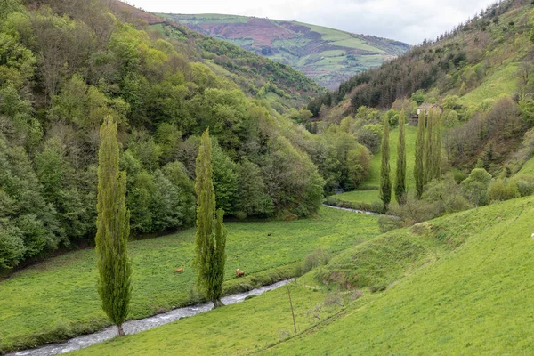 Valle Leitariegos Asturias España Principios Primavera —  Fotos de Stock