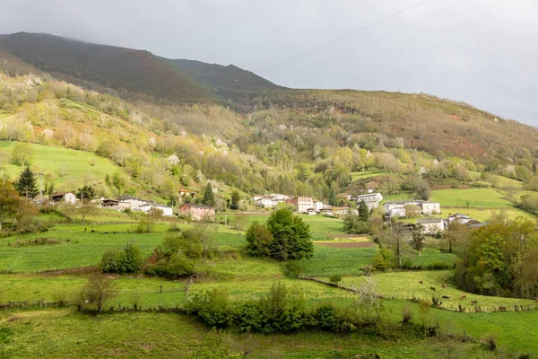 Tal Von Leitariegos Asturien Spanien Beginn Des Frühlings — Stockfoto