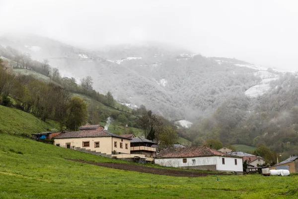 Leitariegos Dal Asturien Spanien Början Våren — Stockfoto