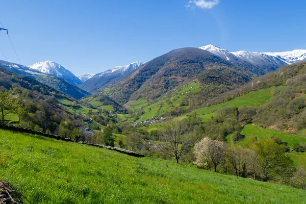 Tal Von Leitariegos Asturien Spanien Beginn Des Frühlings — Stockfoto