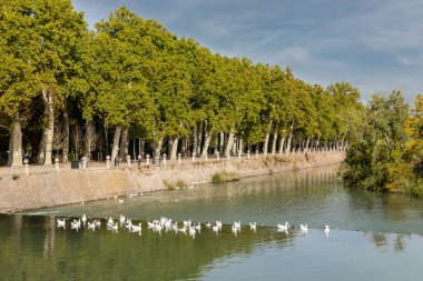 Aranjuez 'in Prens Bahçeleri' nde sonbahar zamanı. Madrid mi? İspanya.