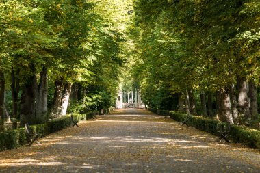Aranjuez 'in Prens Bahçeleri' nde sonbahar zamanı. Madrid mi? İspanya.