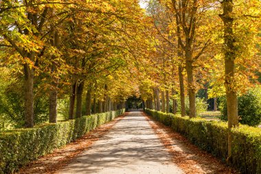 Aranjuez 'in Prens Bahçeleri' nde sonbahar zamanı. Madrid mi? İspanya.