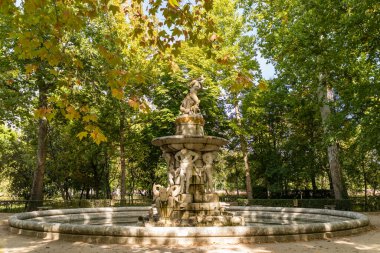 Aranjuez 'in Prens Bahçeleri' nde sonbahar zamanı. Madrid mi? İspanya.