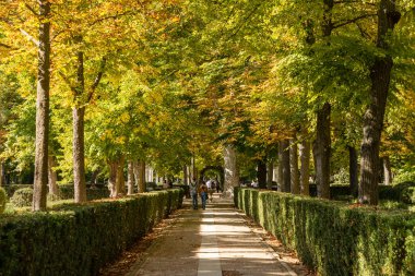 Aranjuez 'in Prens Bahçeleri' nde sonbahar zamanı. Madrid mi? İspanya.