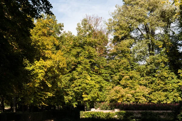 アランフエスの王子庭園での秋の時間 マドリード スペイン — ストック写真