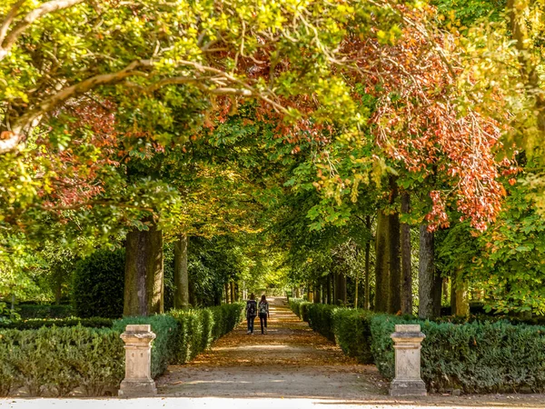 Herbstzeit Den Prinzengärten Von Aranjuez Madrid Spanien — Stockfoto