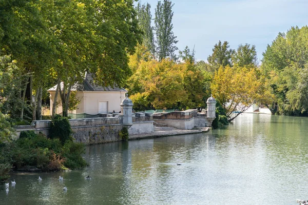 Podzimní Čas Prince Gardens Aranjuezu Madrid Španělsko — Stock fotografie