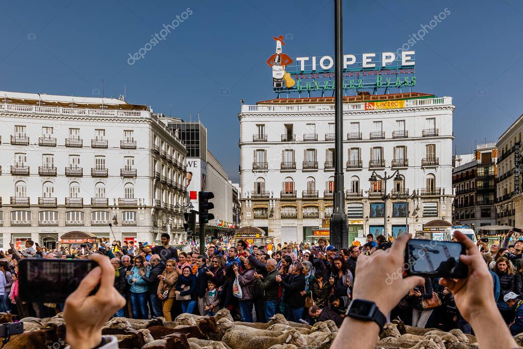 La tradicional fiesta Trashumancia que se celebra en las calles de
