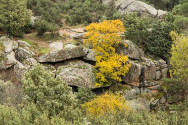 Madrid, La Pedriza 'da sonbahar manzarası, Sierra de Guadarrama Ulusal Parkı' nın bir parçası.