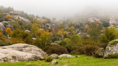 Madrid, La Pedriza 'da sonbahar manzarası, Sierra de Guadarrama Ulusal Parkı' nın bir parçası.