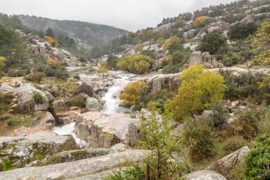 Water torrent of the Manzanares river in the Pedriza area of Madrid