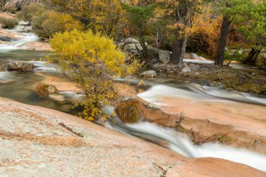 Water torrent of the Manzanares river in the Pedriza area of Madrid