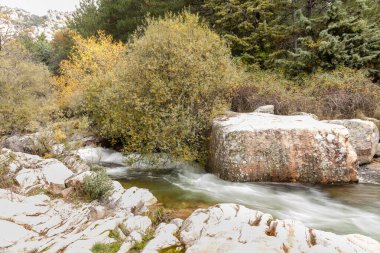 Madrid 'in Pedriza bölgesinde Manzanares Nehri' nin akan suyu.