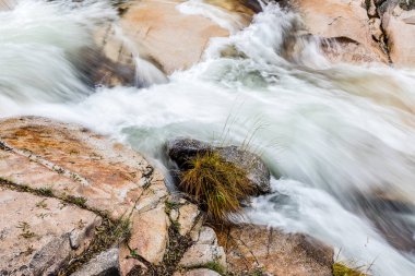 Madrid 'in Pedriza bölgesinde Manzanares Nehri' nin akan suyu.