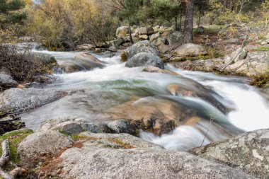 Madrid 'in Pedriza bölgesinde Manzanares Nehri' nin akan suyu.