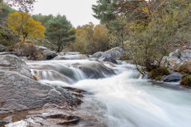 Water torrent of the Manzanares river in the Pedriza area of Madrid