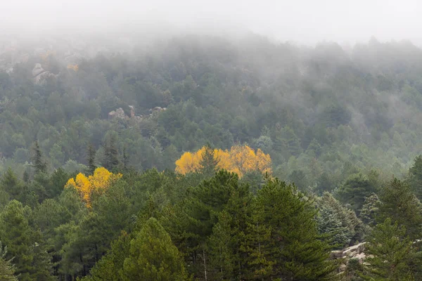 stock image Autumn landscape in La Pedriza in Madrid, part of the Sierra de Guadarrama National Park