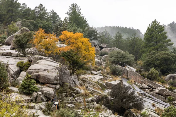 Paysage Automne Pedriza Madrid Partie Parc National Sierra Guadarrama — Photo