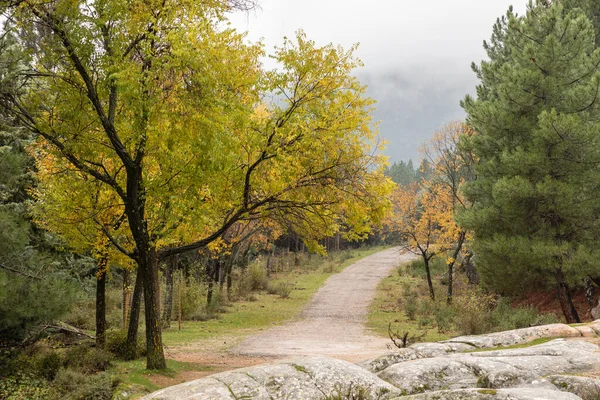 Madrid, La Pedriza 'da sonbahar manzarası, Sierra de Guadarrama Ulusal Parkı' nın bir parçası.