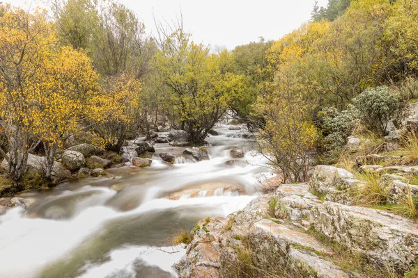Water Torrent Manzanares River Pedriza Area Madrid — Stock Photo, Image