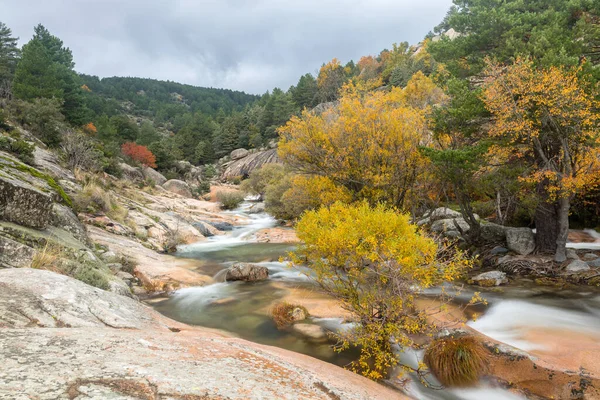 stock image Water torrent of the Manzanares river in the Pedriza area of Madrid