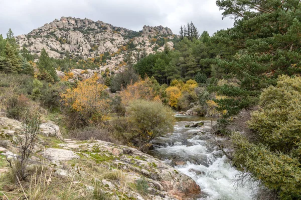 Water Torrent Manzanares River Pedriza Area Madrid — стокове фото