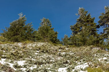 Madrid 'de yol karla kaplıyken Penalara lagünlerine tırmanıyor.