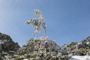 Madrid 'in dağlarındaki Laguna de Penalara adlı buzul gölü.