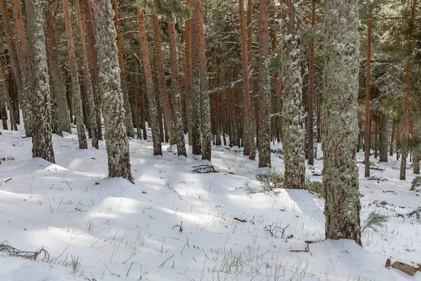 Восхождение Лагунам Пеналары Дорога Покрыта Снегом Мадриде — стоковое фото