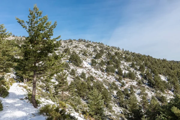 Ascent Till Penalara Laguner Med Vägen Täckt Snö Madrid — Stockfoto