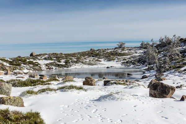 Lagune Glaciaire Dans Les Montagnes Madrid Appelée Laguna Penalara — Photo