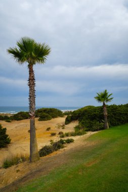 La Barrosa plajı, sular çekildiğinde, Sancti Petri, Chiclana de la Frontera, Cadiz, İspanya