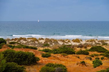 La Barrosa plajı, sular çekildiğinde, Sancti Petri, Chiclana de la Frontera, Cadiz, İspanya