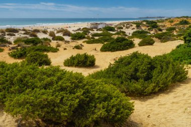 La Barrosa plajı, sular çekildiğinde, Sancti Petri, Chiclana de la Frontera, Cadiz, İspanya