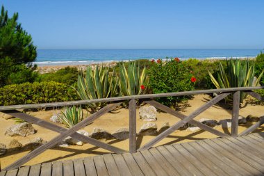 La Barrosa plajı, sular çekildiğinde, Sancti Petri, Chiclana de la Frontera, Cadiz, İspanya